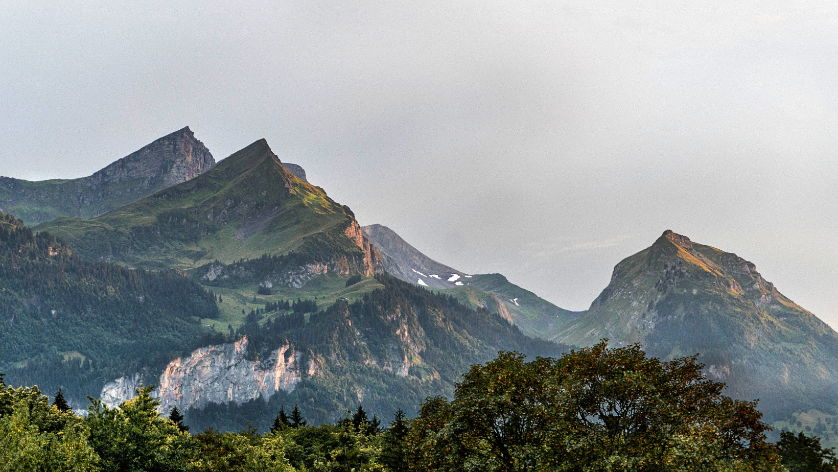 Psalm 24 - The King of Glory - Daily Devotional – In His Name Company